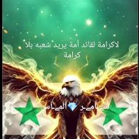 شات سوريا SY مباشر كتابي - تعارف بنات وشباب سوريين